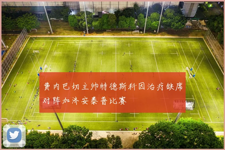 费内巴切主帅特德斯科因治疗缺席对阵加济安泰普比赛