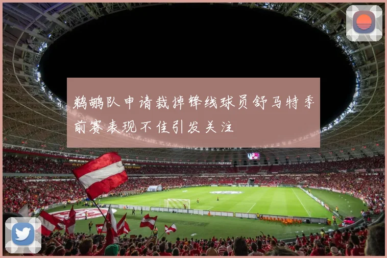 鹈鹕队申请裁掉锋线球员舒马特季前赛表现不佳引发关注