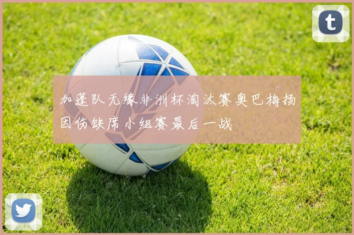 加蓬队无缘非洲杯淘汰赛奥巴梅扬因伤缺席小组赛最后一战